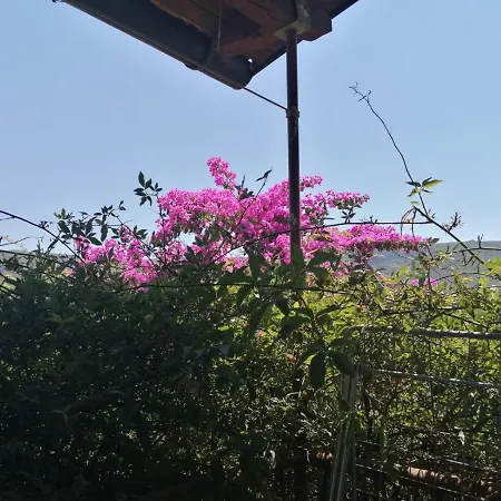 Piko1 Apartamento
