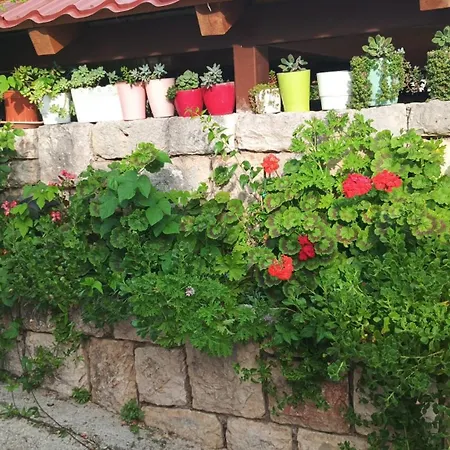Lejlighed Piko Jelsa (Hvar)